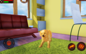 Golden Retriever Simulator screenshot 10