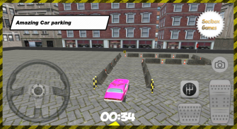 Stadt Rosa Auto Parkplatz screenshot 6