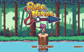 Rise of the Ninja screenshot 0