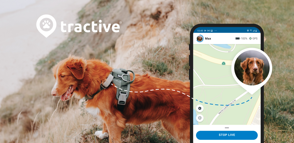 Tractive - Collier GPS pour chien - Localisation illimitée en direct -  Compat