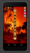 Flute screenshot 1