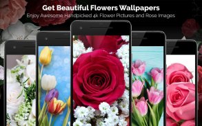 Flower Wallpapers: Rosely 2 screenshot 2