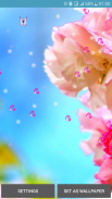 Flower Spring Live Wallpapers screenshot 6