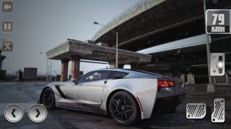 Corvette Fast Adventure screenshot 2