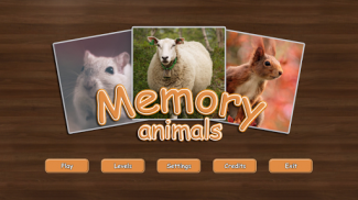 Memory - Animals screenshot 3