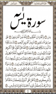 Surah  Yasin  Reading screenshot 1