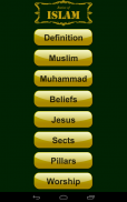 Introduction to Islam screenshot 12