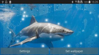 Shark Live Wallpaper screenshot 9