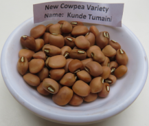 KALRO New Cowpea Varieties screenshot 3