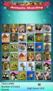 Memoria Pazzo - Animali screenshot 8