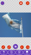 Argentina Flag Wallpaper: Flags and Country Images screenshot 7