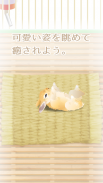 癒しのウサギ育成ゲーム screenshot 3
