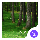 Forest|APUS Launcher theme