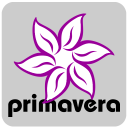 Primavera Program Guides Icon