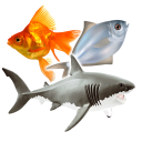 أنواع الأسماك و صور أسماك Icon