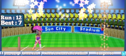 Rudra Cricket Game screenshot 8