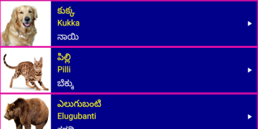 Learn Telugu From Kannada screenshot 3