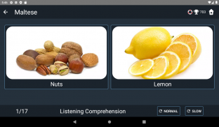 Maltese Language Tests screenshot 5