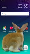 Bunny in Phone Cute joke screenshot 2