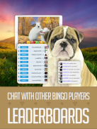 Boom Bingo - Play LIVE BINGO & SLOTS for FREE screenshot 18