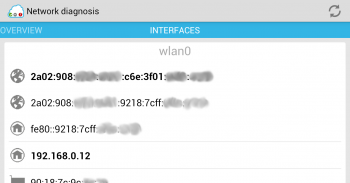 Netzwerkdiagnose screenshot 2