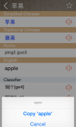Chinese English Dictionary Pro screenshot 4