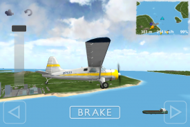 Flight Sim screenshot 0
