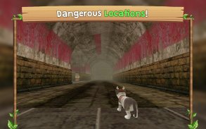 Simulação de Gatos Online screenshot 6