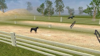 Rottweiler Dog Life Simulator screenshot 3