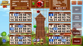 Video Bingo Little Farm screenshot 7