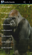 Gorilla Sounds screenshot 0