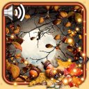 Autumn Moon Live Wallpaper Icon