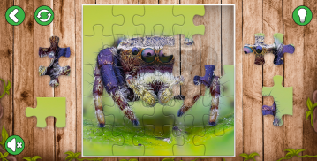 Teka-teki jigsaw haiwan screenshot 0