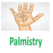 Palmistry screenshot 0