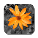 Color Splash - Photo Editor Icon