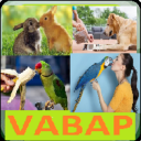 VABAP Icon