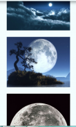 Moon Images Wallpapers screenshot 5