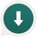 Status Saver - Story Saver Icon