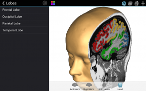 Brain Tutor 3D screenshot 12