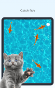 Meow - Cat Toy Games for Cats screenshot 3