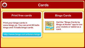 Bingo en Casa screenshot 14