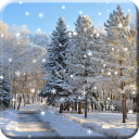 Winter Snow Live Wallpaper HD