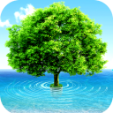 Awesome HD Wallpaper Icon