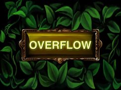 Overflow screenshot 6