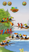 Birds Sort Color- Puzzle Games screenshot 3