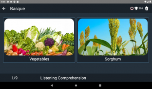 Basque Language Tests screenshot 17