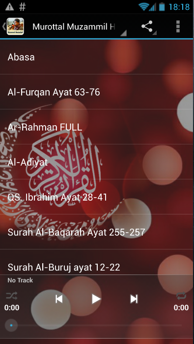 Download mp3 al-quran juz 1 sampai 30 muzammil