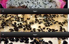 Make Dragon Fruit Seeds from Seeds screenshot 1