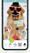 TuckerMoji - Golden Dog Stickers by Tucker Budzyn screenshot 7