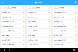 Korean<>French Gem Dictionary screenshot 12